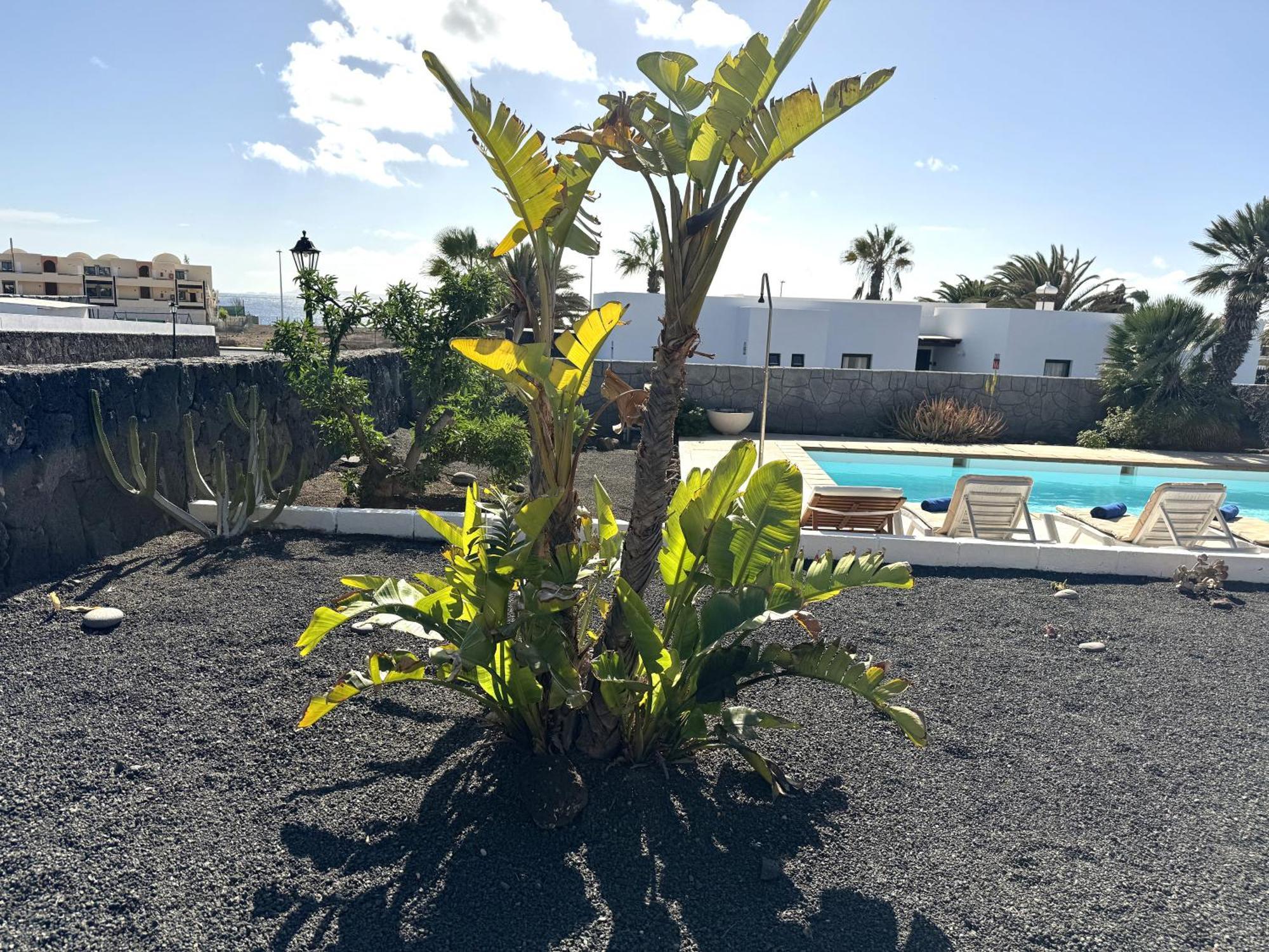 Villa Aguaviva Playa Blanca  Kültér fotó